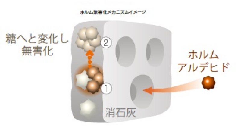 ホルム無害化メカニズムイメージ