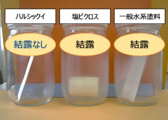 結露実験：ハルシックイでの結露がない様子