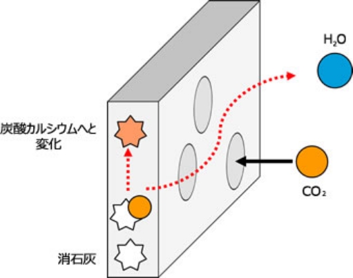 二酸化炭素吸収量メカニズムイメージ