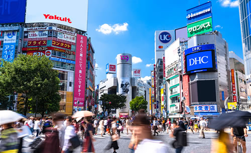 Signboard and Displays